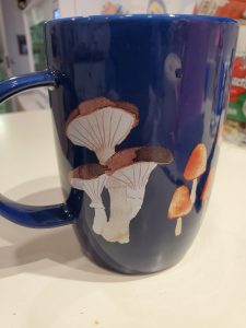 A blue mug with mushrooms of various types on it.